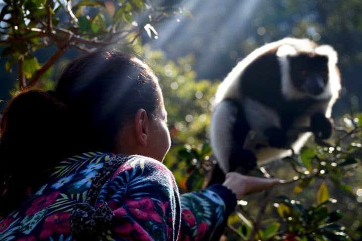 GlobeTracker Avantura - Skriveni svet Madagascar - Sejsheli