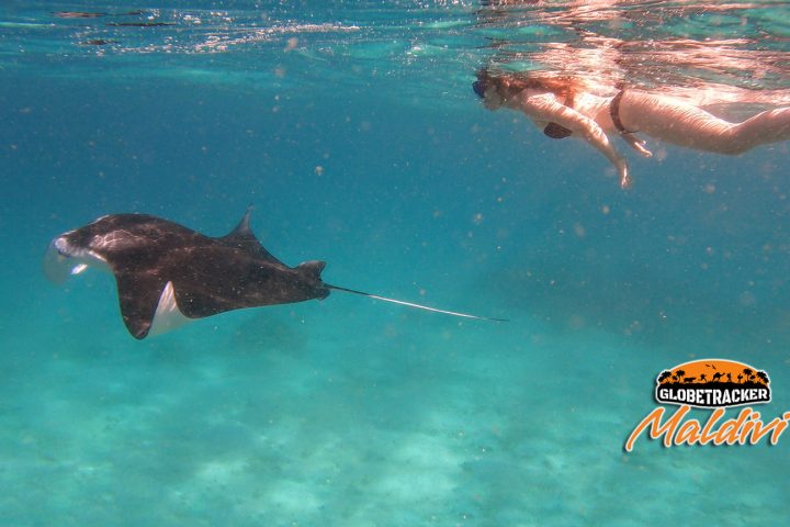 Mathiveri, Snorkeling, ronjenje, greben, Mante