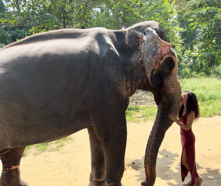 Sri Lanka leto 2023