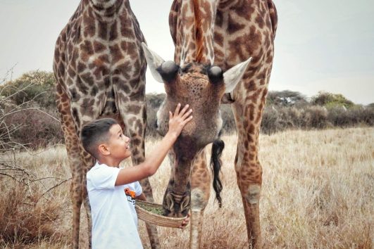 Wildlife Tanzania - walking safari plus letovanje