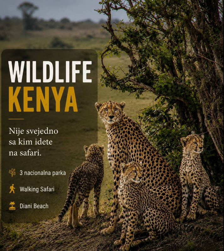 Wildlife Kenya