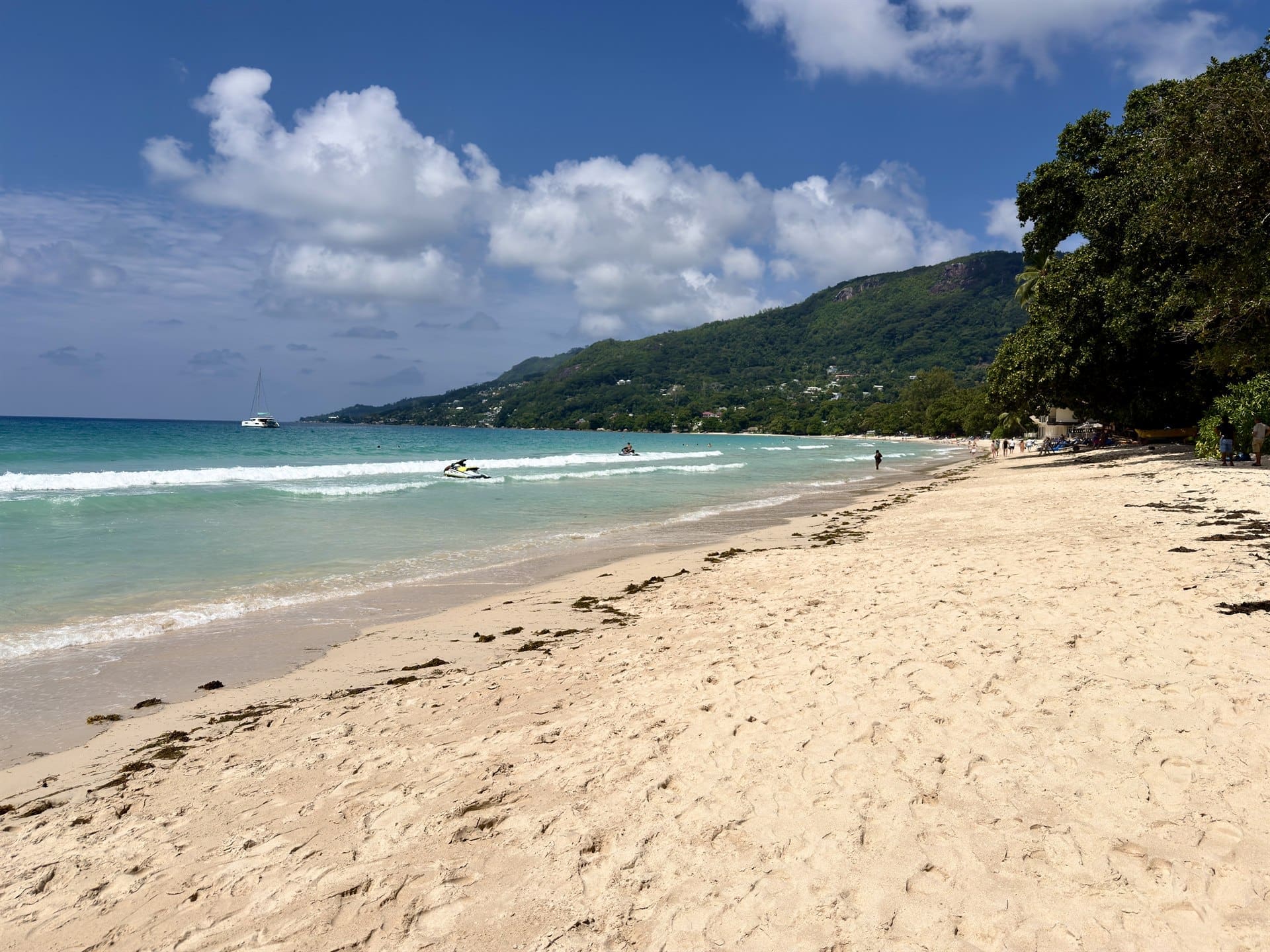 Sejšeli tirkizna plaža Beau Vallon i kokosove palme na ostrvu Mahé